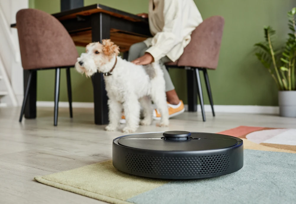 robot vacuum cleaner with docking station